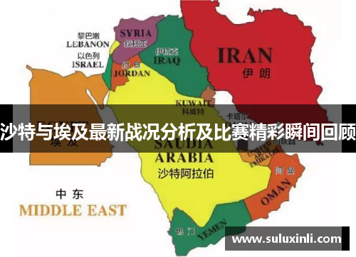 沙特与埃及最新战况分析及比赛精彩瞬间回顾