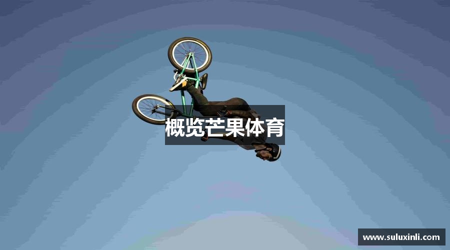 概览芒果体育